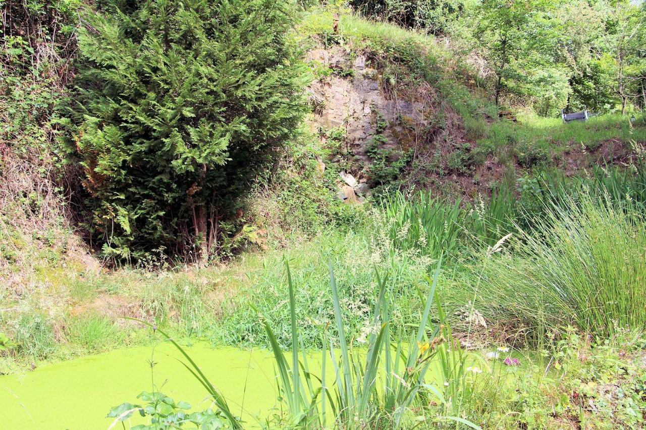 Haus Teufenbach Aparthotel Bad Neuenahr-Ahrweiler Exteriör bild